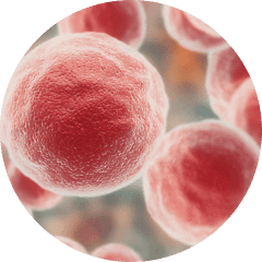what dose is a microdose of tirzepatide Microdosing GLP-1's for Weight Loss & Inflamation:-Dr Lipman, Miami what dose is a microdose of tirzepatide Microdosing GLP-1's for Weight Loss & Inflamation:-Dr Lipman, Miami